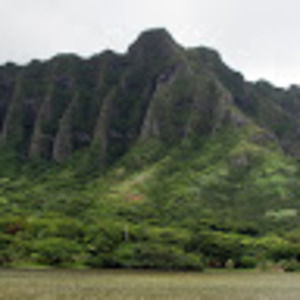 Meet your Posher, Deanna